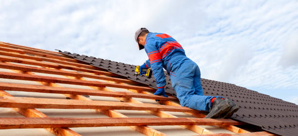 Best Roof Coating and Sealing  in Williamson, AZ